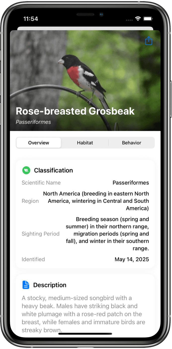 Bird Identifier App Interface